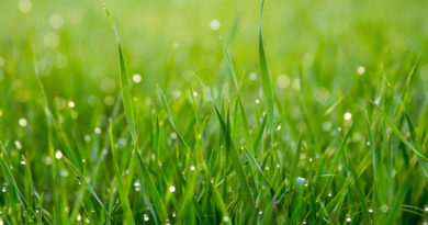 How To Manage Stress And Frustration Naturally