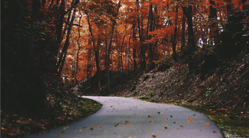 Empowering Anti-Aging