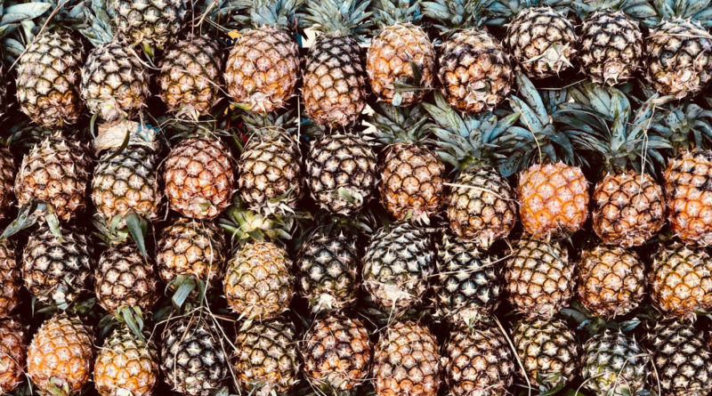 Secret Nutraceuticals You Can't Afford To Be Without