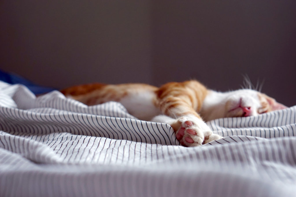 Health Benefits Of Sleep