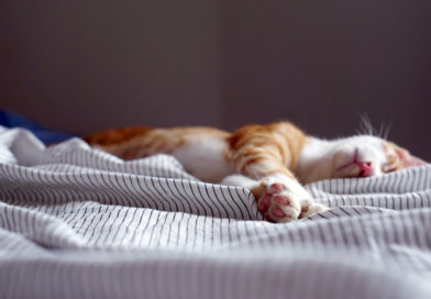 Health Benefits Of Sleep