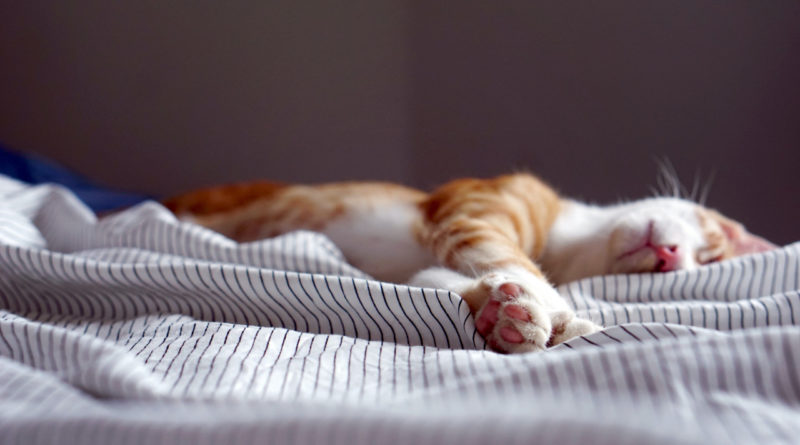 Health Benefits Of Sleep