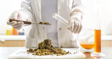 Advantages Of Natural Remedies
