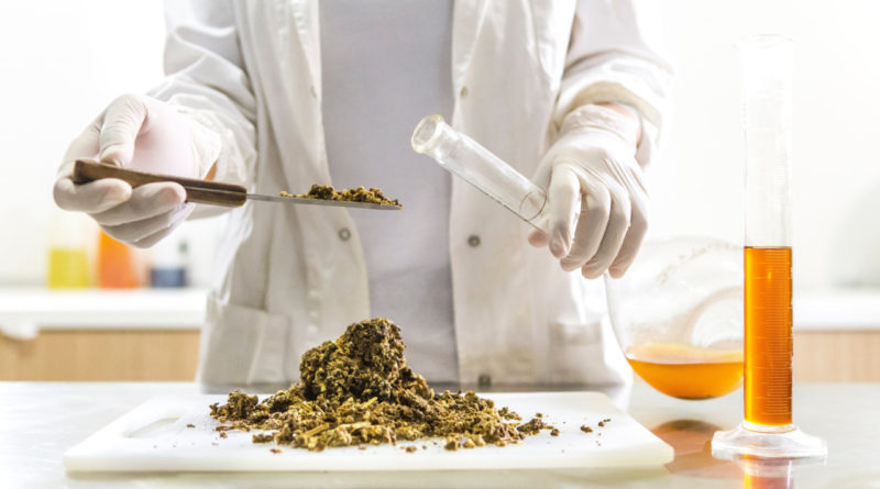 Advantages Of Natural Remedies
